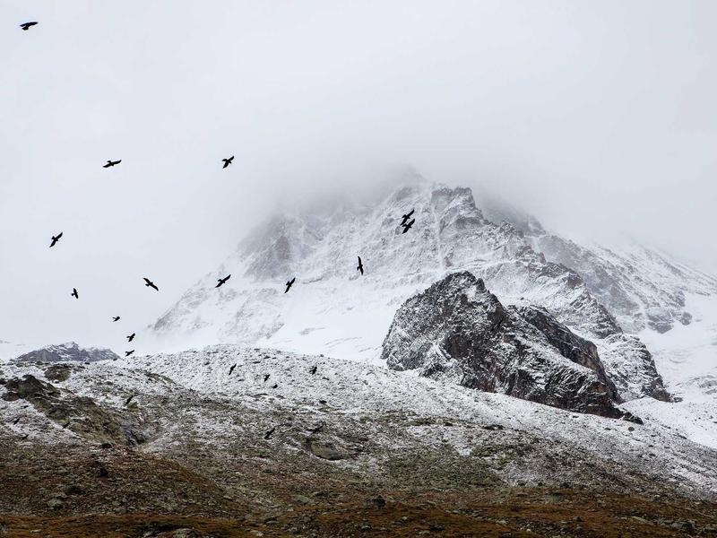 sudoku game no download